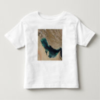 Persian Gulf