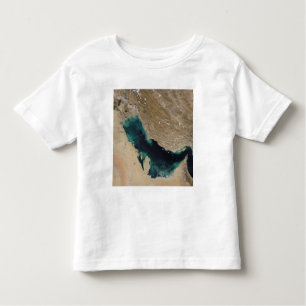 Persian Gulf Toddler T-Shirt