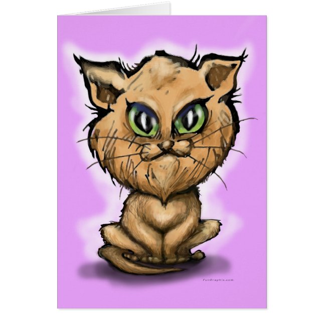 Persian Kitten (Front)