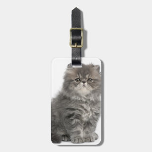 Persian Kitten (2 months old) sitting Luggage Tag