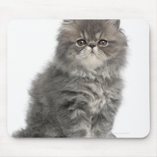 Persian Kitten (2 months old) sitting Mouse Pad (Front)