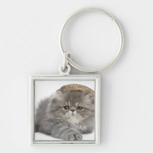 Persian Kitten (2 months old) wearing a straw Key Ring