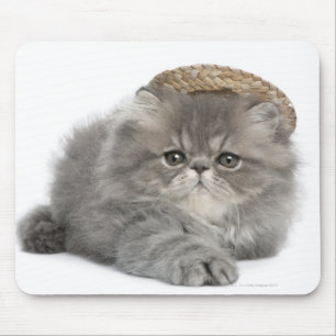 Persian Kitten (2 months old) wearing a straw Mouse Pad