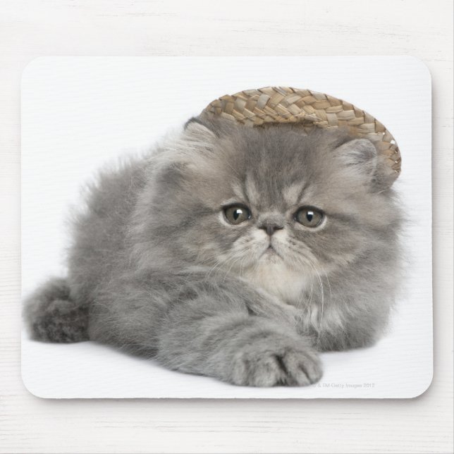 Persian Kitten (2 months old) wearing a straw Mouse Pad (Front)