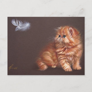 Persian kitten and feather postcard