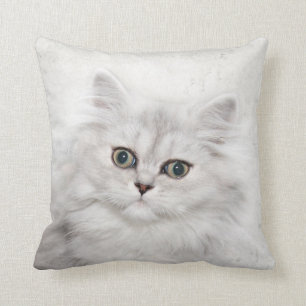 Persian kitten face cushion