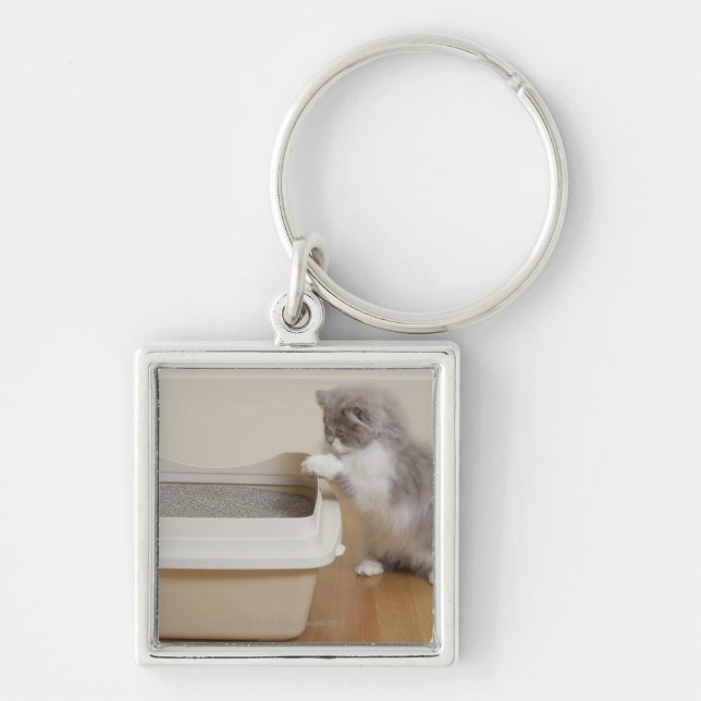 Persian Kitten looking at litter box Key Ring (Front)