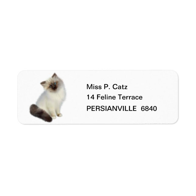 Persian Kitten Return Address Label (Front)