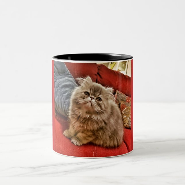 Persian Kitty Mug (Center)