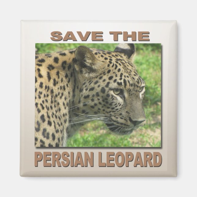 Persian Leopard Magnet (Front)