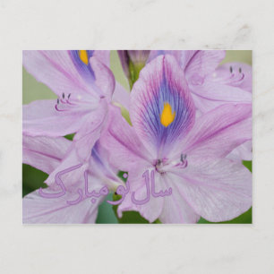 Persian New Year Nowruz Water Hyacinth Holiday Postcard