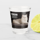 Persian/Shirazi Cat Breed