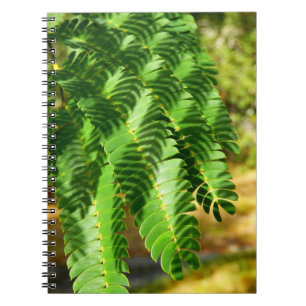 Persian Silk Tree Leaves Photo Notebook