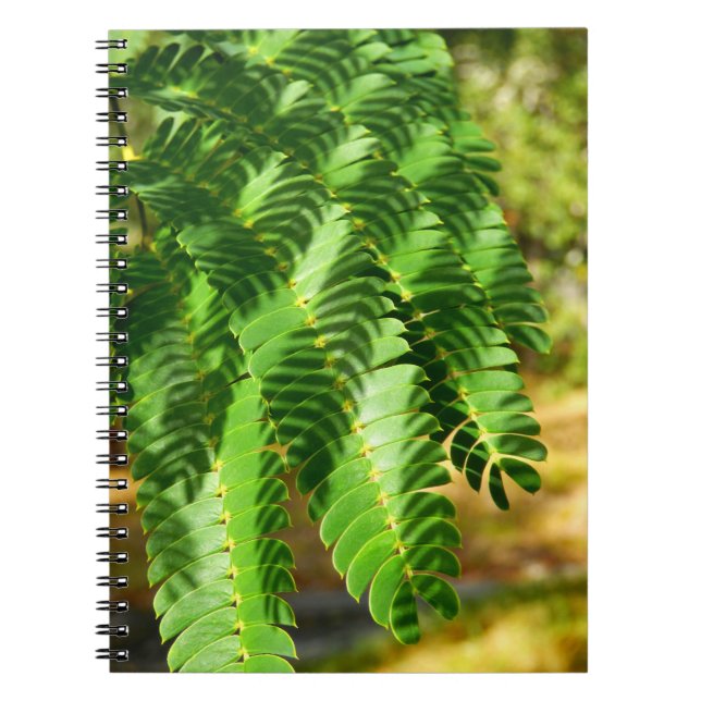 Persian Silk Tree Leaves Photo Notebook (Front)