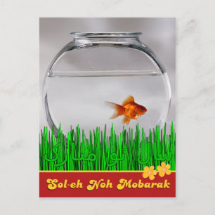 Persian Soleh Noh Mobarak سال نو مبارک Postcard