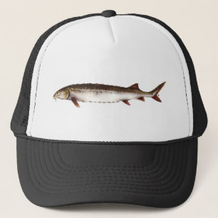 Persian Sturgeon Hat
