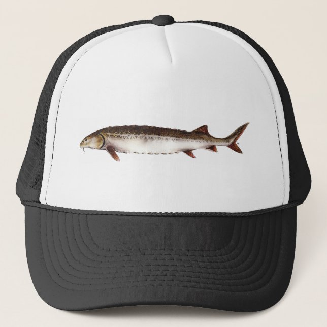 Persian Sturgeon Hat (Front)