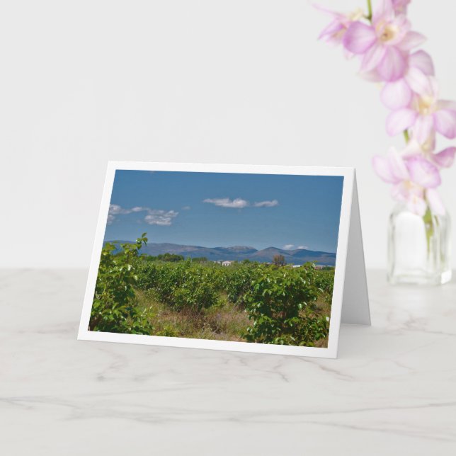 Persimmon Field Landscape Card (Orchid)