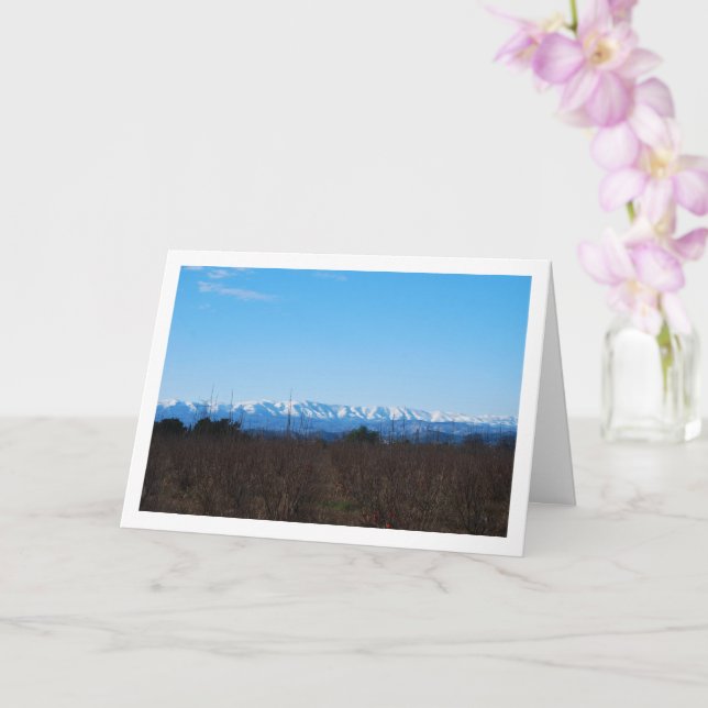 Persimmon Fruit Field and Snowy Mountains Card (Orchid)