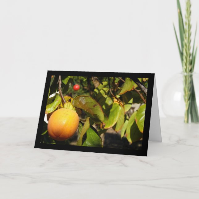 Persimmon Fruit in Tree Card (Front)
