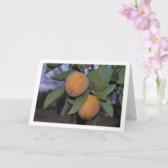 Persimmon Tree Portrait Card (Orchid)