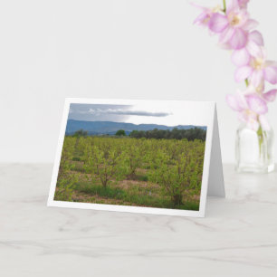 Persimmon Trees and Mountain Landscape Card