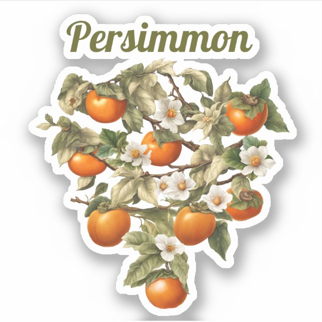 Persimmons (Front)