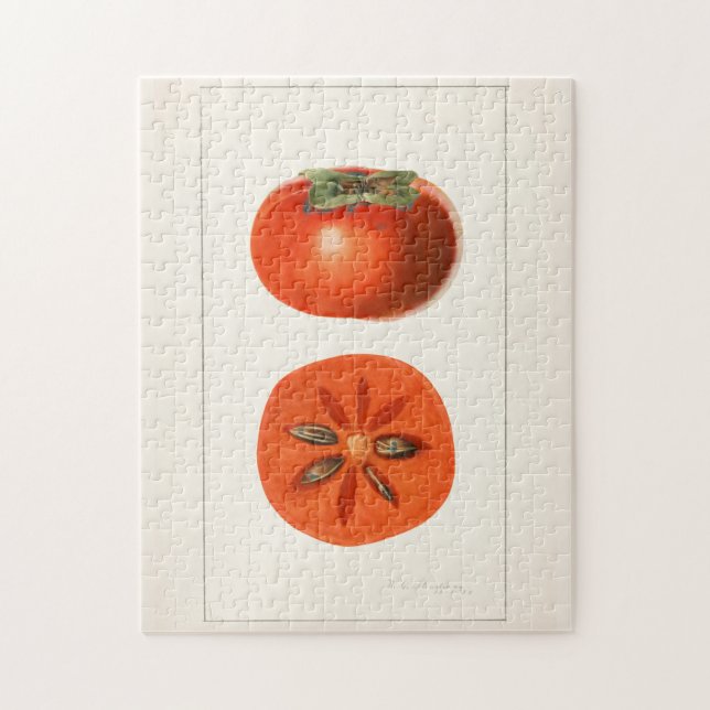 Persimmons Fruit Watercolor Painting Jigsaw Puzzle (Vertical)