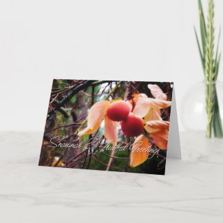 Persimmons Holiday Card
