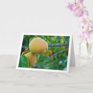 Persimmons in Tree Portrait Card