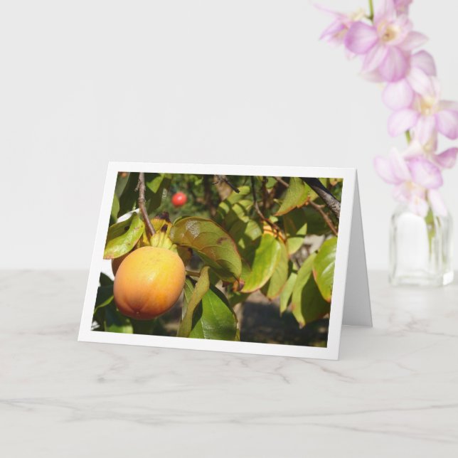 Persimmons in Tree Portrait Card (Orchid)