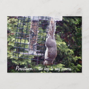 Persistance Postcard