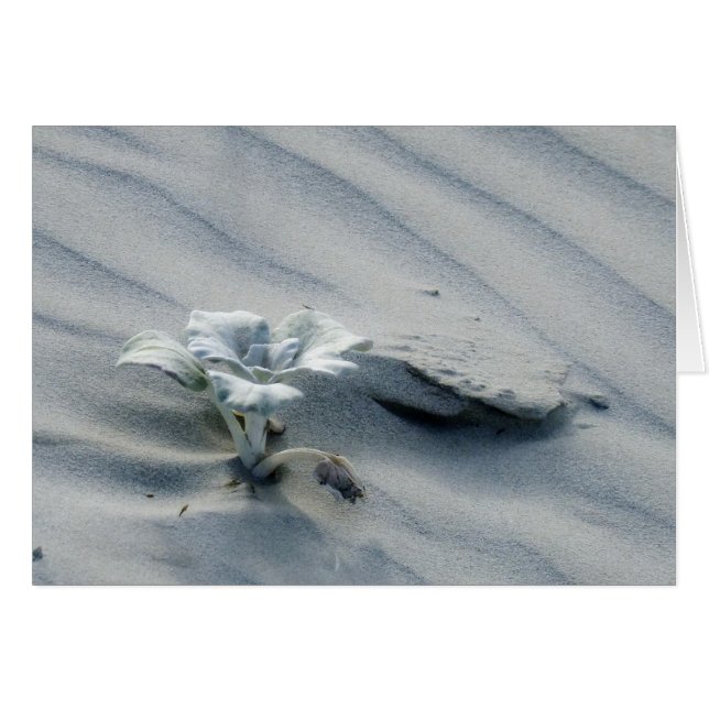 Persistence (Front Horizontal)