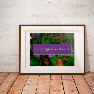 Persistence wisdom saying photo poster