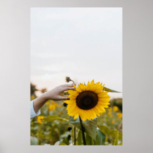 Person holding sunflower poster