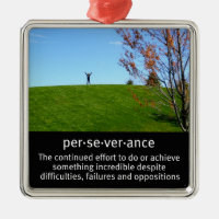 Personal Determination and Perseverance