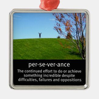 Personal Determination and Perseverance Metal Ornament