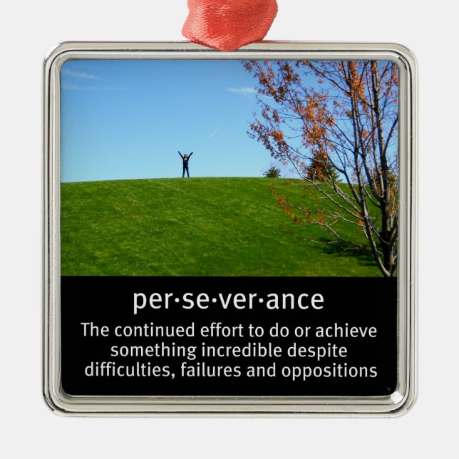 Personal Determination and Perseverance Metal Ornament (Front)