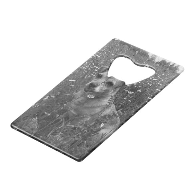 Personal Dog Bottle Opener (Back Angled)