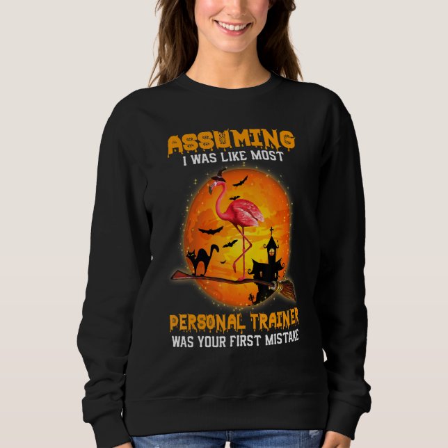 Personal Trainer Flamingo Witch Riding Broom Cpts  Sweatshirt (Front)