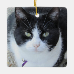 Personalied Cat Photo with Name & Year Ceramic Ornament