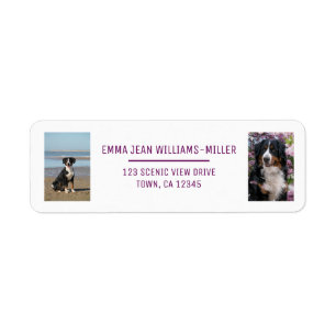 Personalise 2 Photos w/ Dog Modern Return Address Label