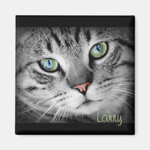 Personalise a Magnet with your Favourite Pet!