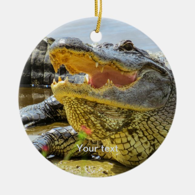 Personalise American alligator portrait photograph Ceramic Ornament (Front)
