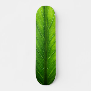 Personalise Beautiful Green Leaf Skateboard