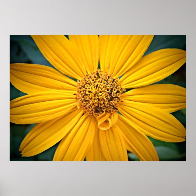Personalise Beautiful Yellow Flower Poster (Front)