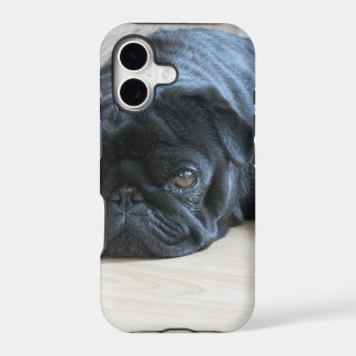 Personalise cute black Pug Puppy accessories name
