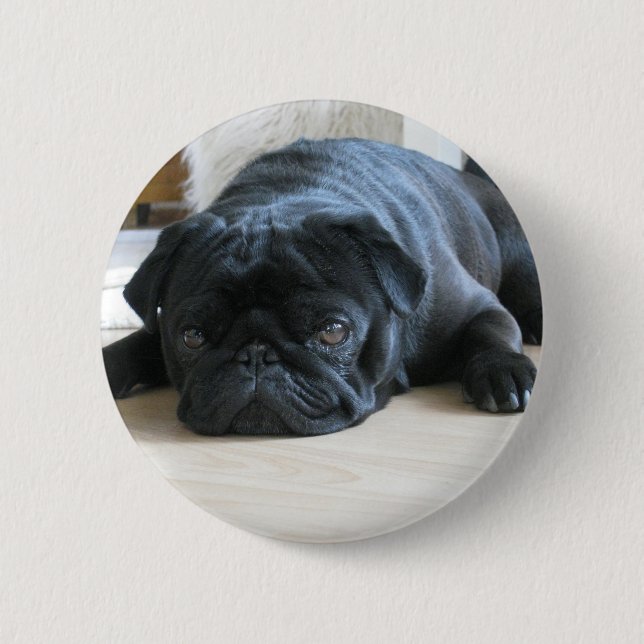 Personalise cute black Pug Puppy accessories name 6 Cm Round Badge (Front)