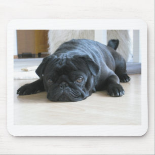 Personalise cute black Pug Puppy accessories name Mouse Pad