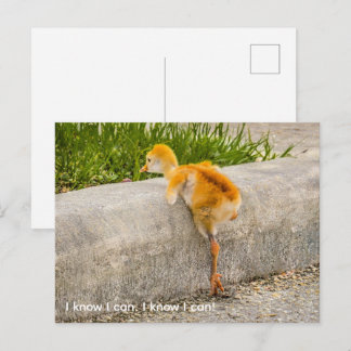 Personalise cute chick "I know I can. I know I can Postcard